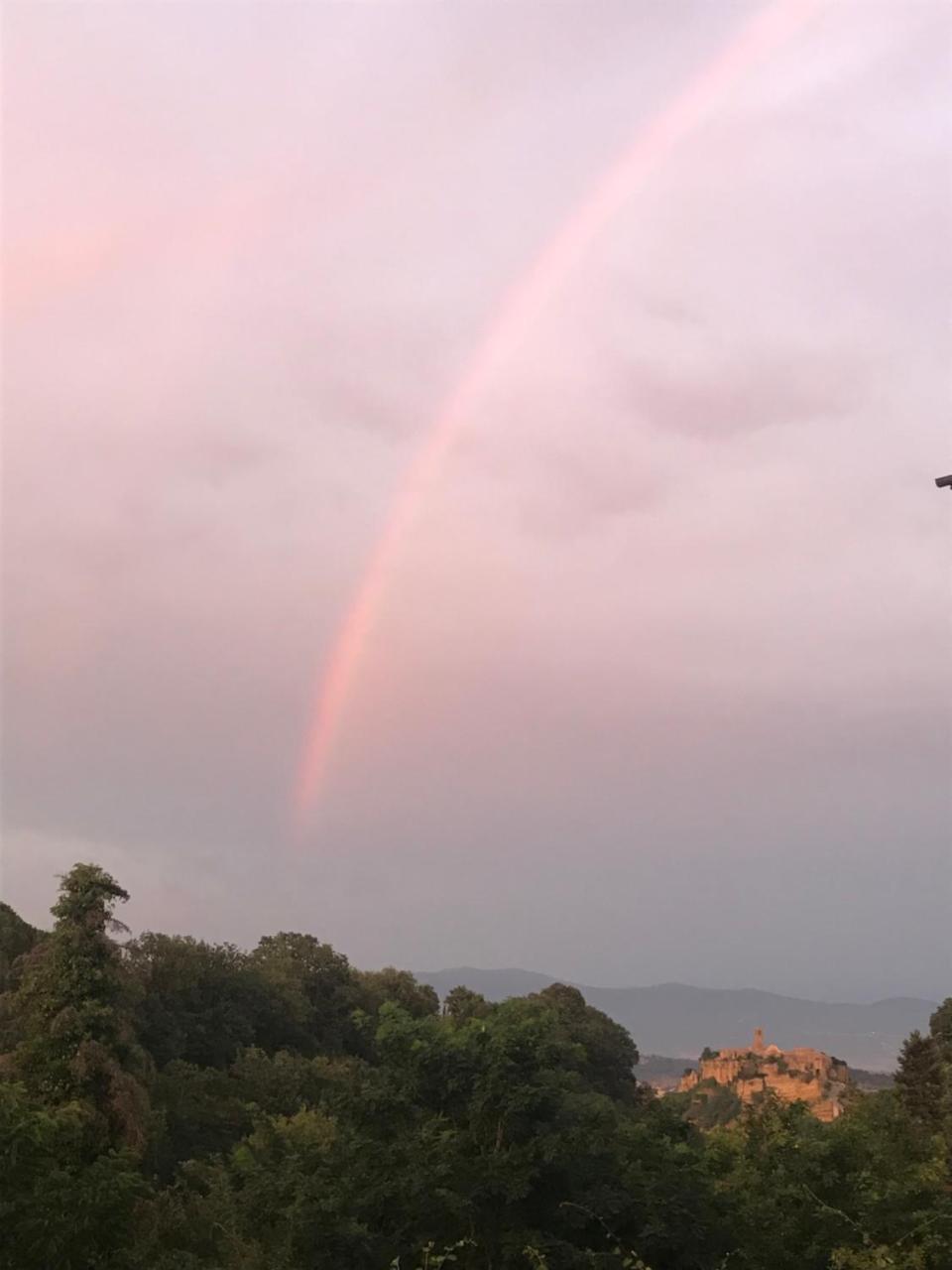 Divino * Bagnoregio